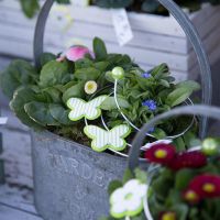 Frühling